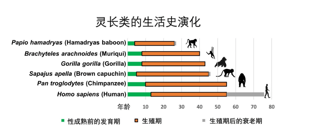 20240427-药我司-我司供稿-图2.png