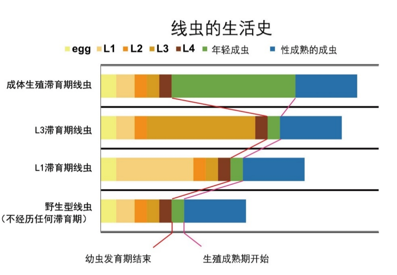 20240427-药我司-我司供稿-图6.png
