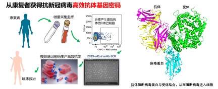 20220416-419-医我司-张林琦团队成果jpg 20220416-419-医我司-张林琦团队成果jpg